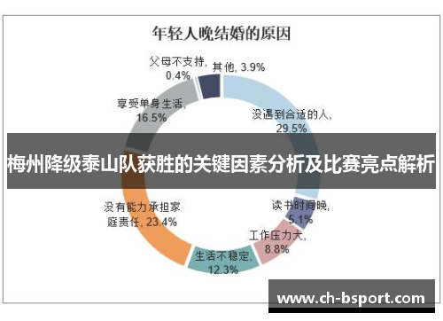 梅州降级泰山队获胜的关键因素分析及比赛亮点解析