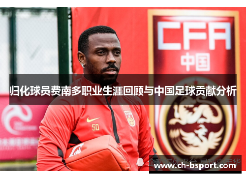 归化球员费南多职业生涯回顾与中国足球贡献分析