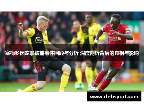 塞梅多因家暴被捕事件回顾与分析 深度剖析背后的真相与影响