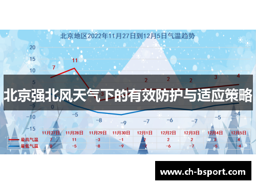 北京强北风天气下的有效防护与适应策略