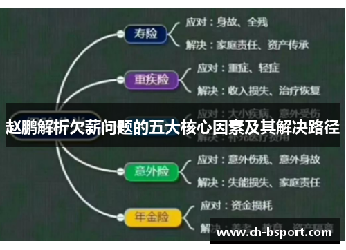 赵鹏解析欠薪问题的五大核心因素及其解决路径