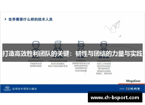 打造高效胜利团队的关键：韧性与团结的力量与实践
