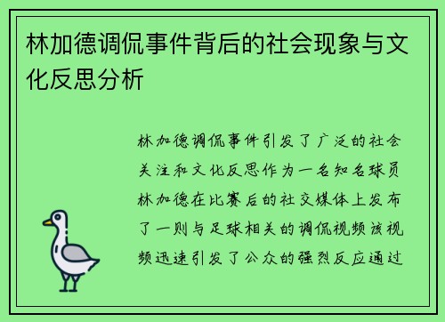 林加德调侃事件背后的社会现象与文化反思分析 林加德调侃事件背后的社会现象与文化反思分析