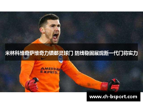 米林科维奇萨维奇力镇都灵球门 防线稳固展现新一代门将实力