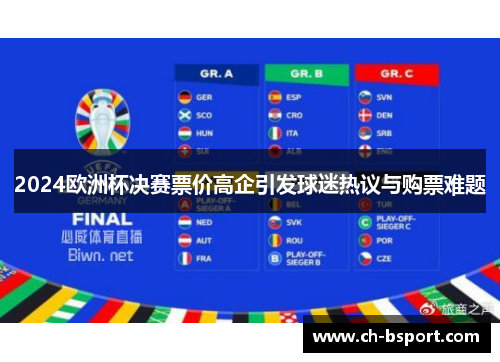 2024欧洲杯决赛票价高企引发球迷热议与购票难题