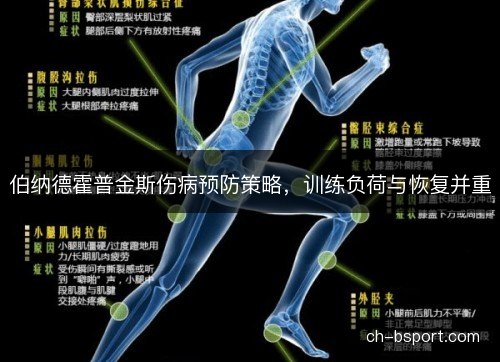 伯纳德霍普金斯伤病预防策略,训练负荷与恢复并重 伯纳德霍普金斯伤病预防策略,训练负荷与恢复并重