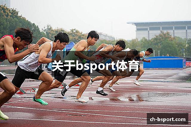 关于bsport体育